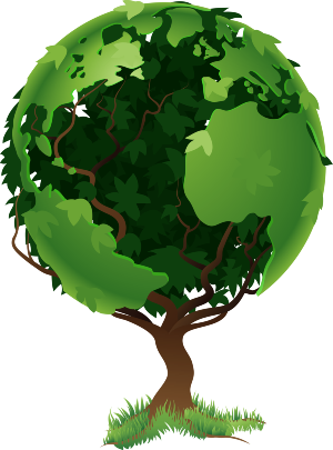 environmental sciences mcqs