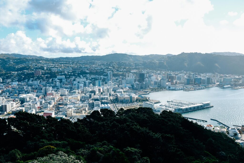 1. Wellington